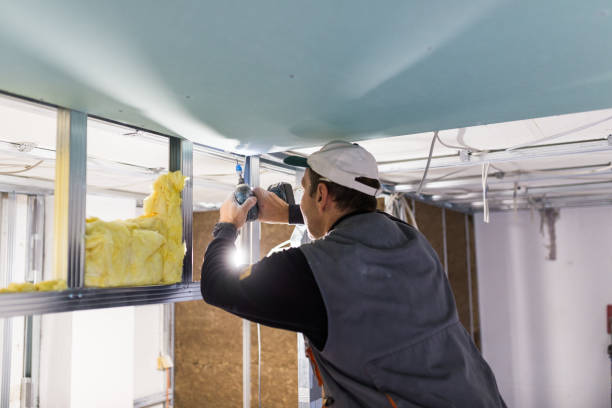 Best Insulation Installation Services in Valley Falls, KS